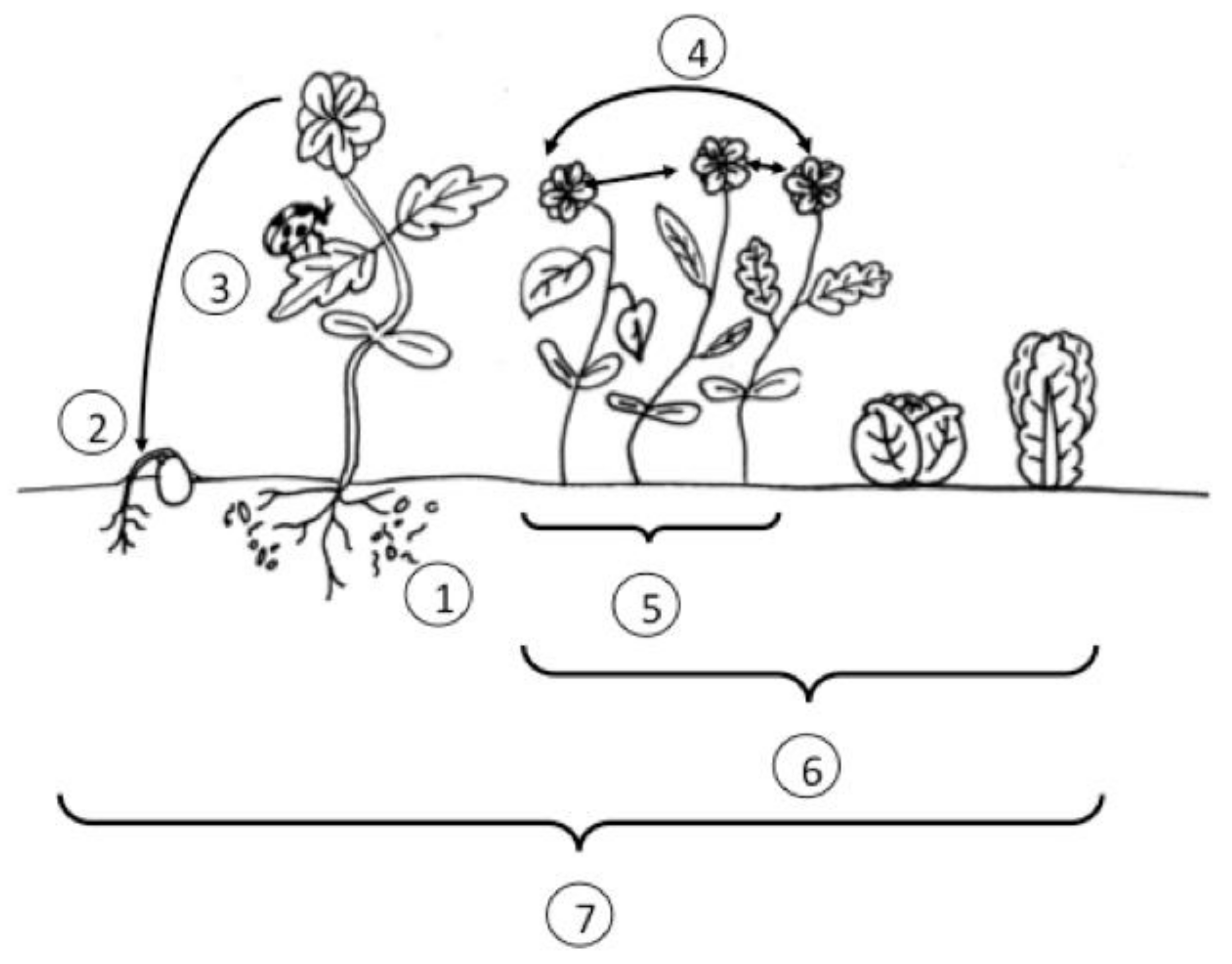 Sustainability 10 02023 g002