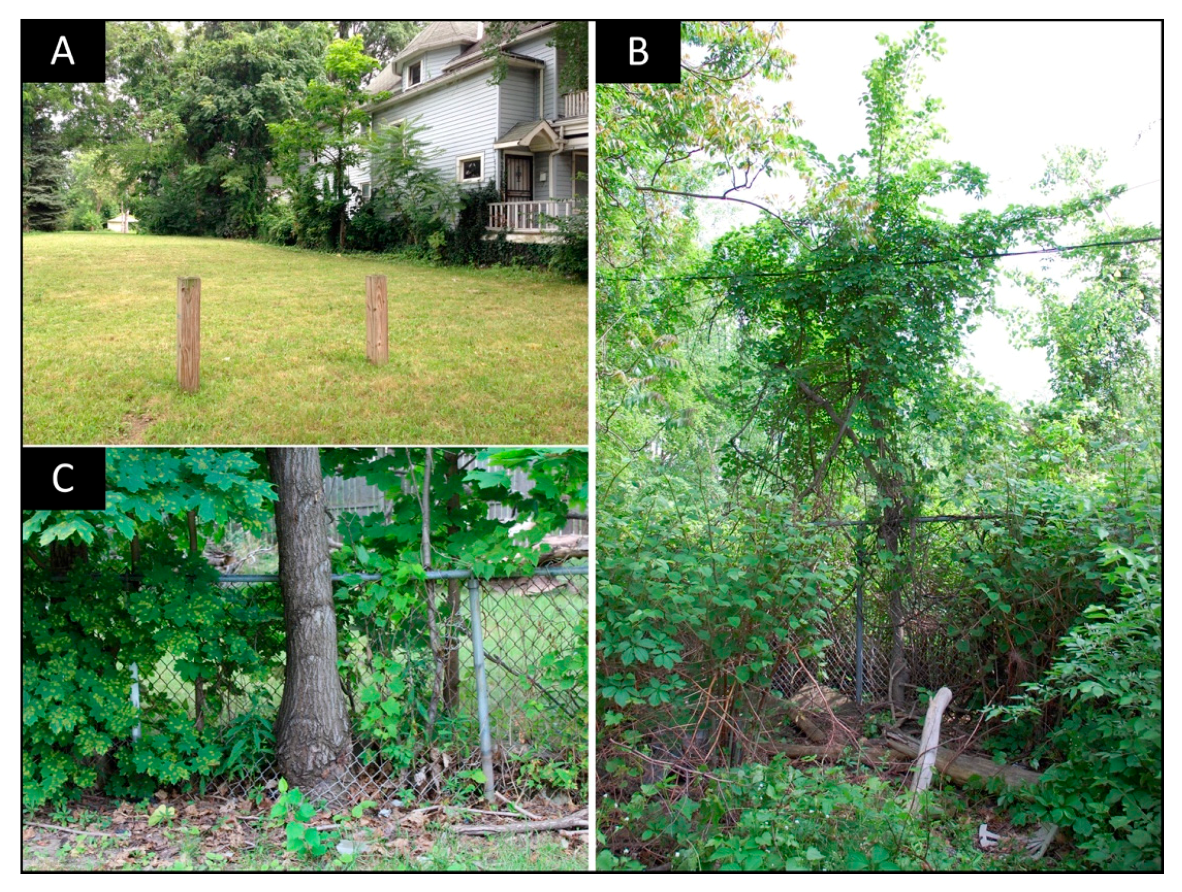 Sustainability 10 02139 g003