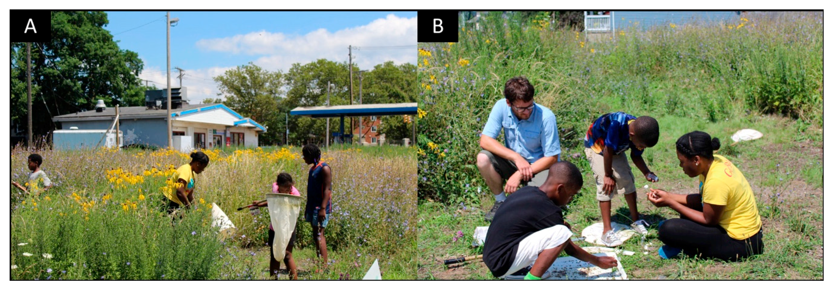 Sustainability 10 02139 g005