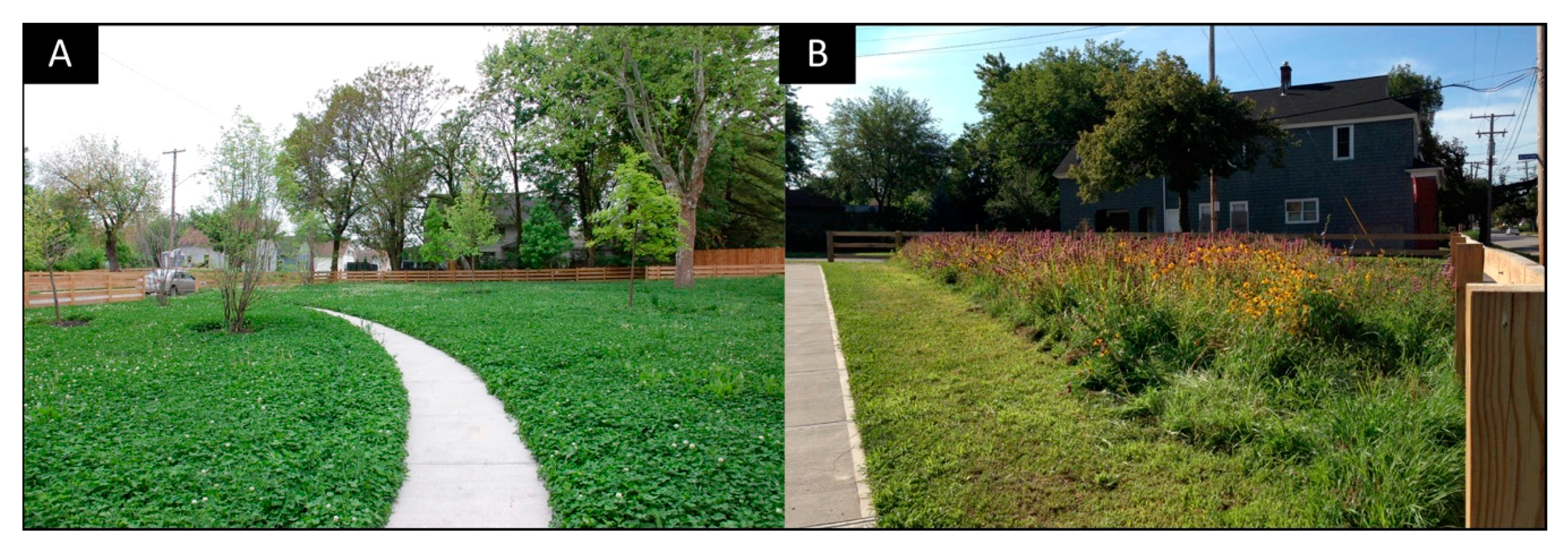 Sustainability 10 02139 g006