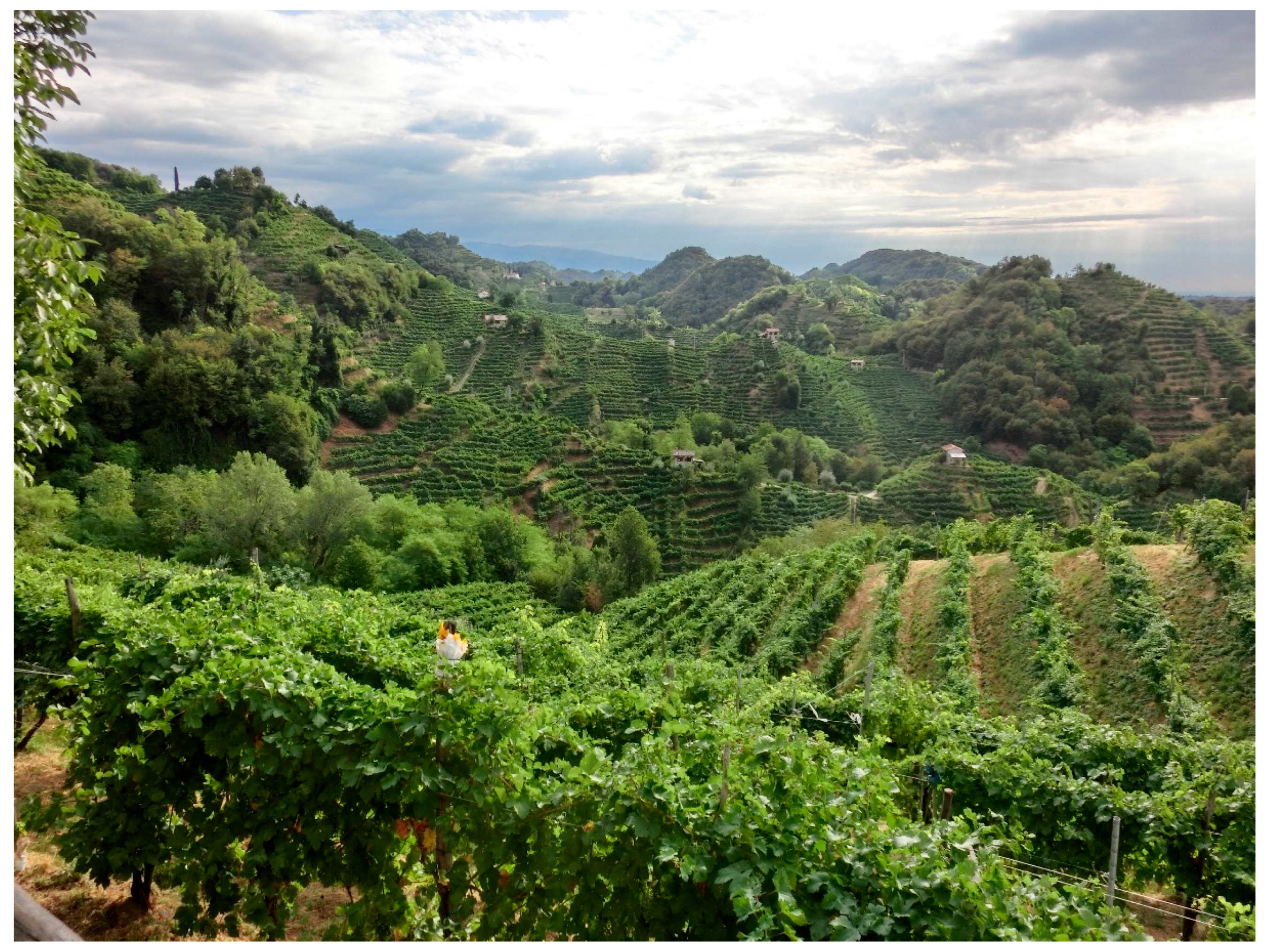 Sustainability 10 02195 g003