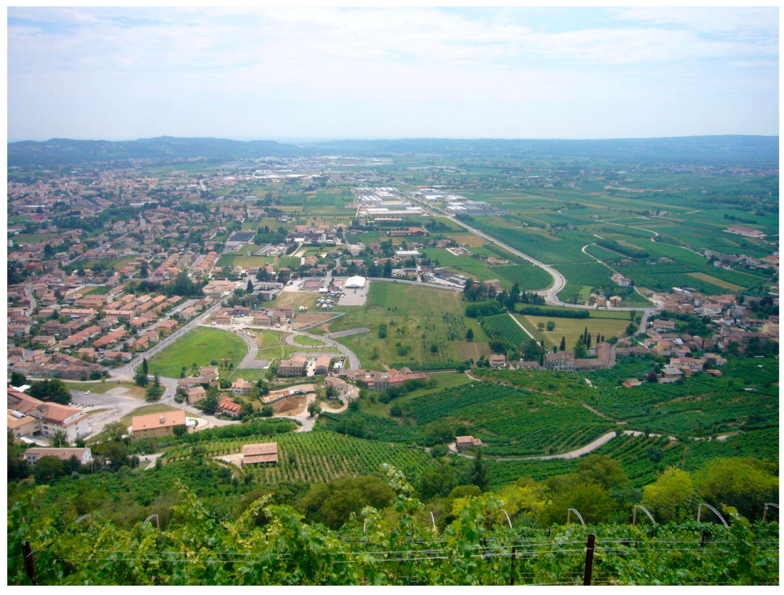 Sustainability 10 02195 g004