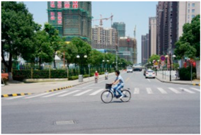 Sustainability 10 02200 i011