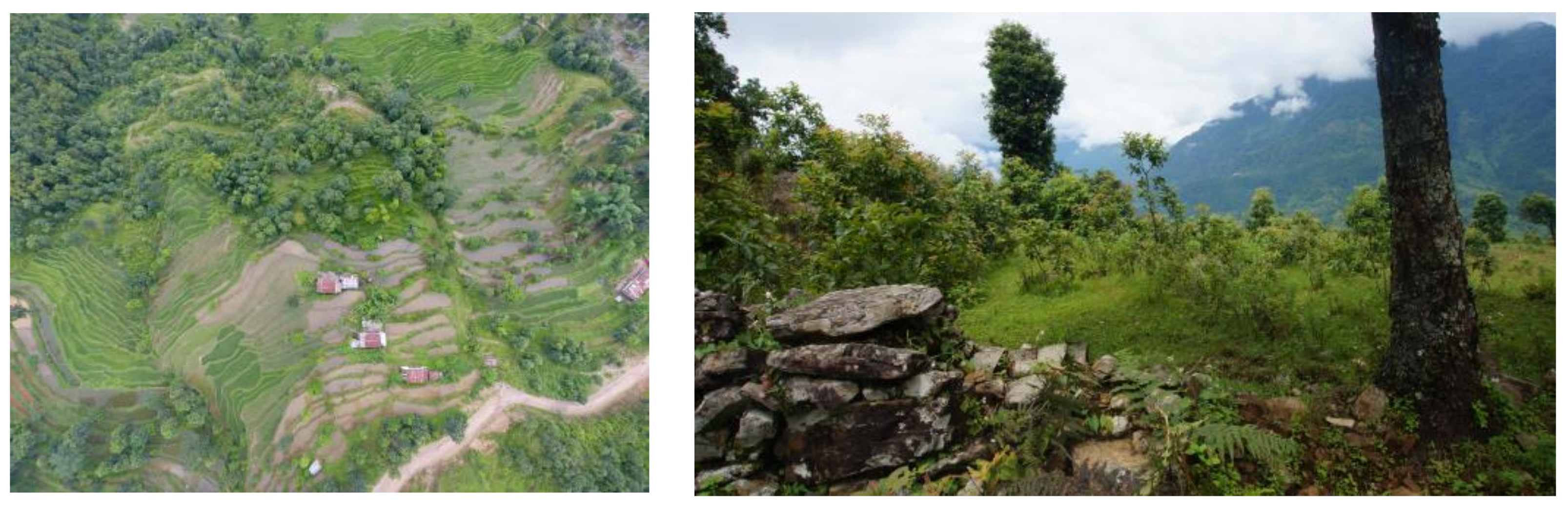 Sustainability 10 02331 g002 Sustainability 10 02331 g002