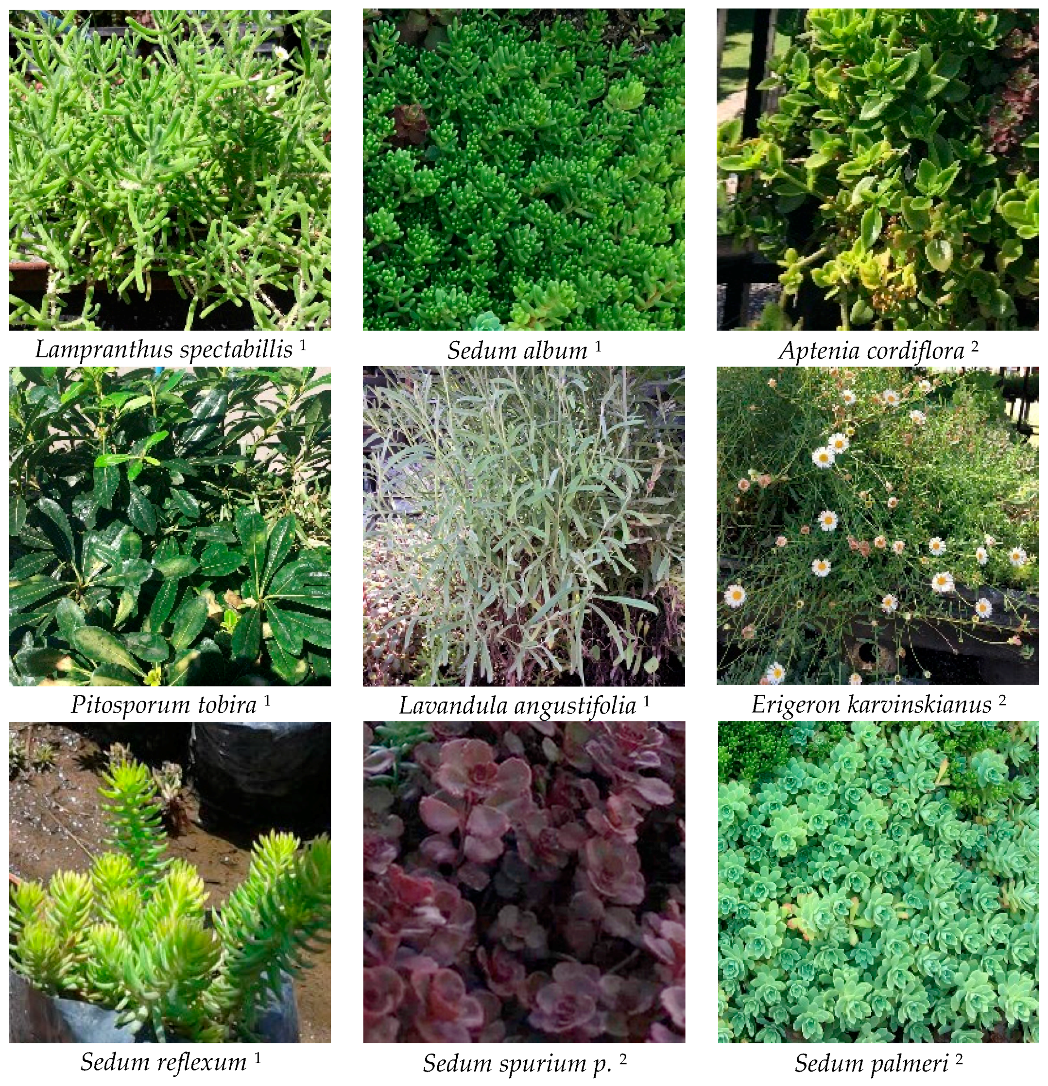 Sustainability 10 02431 g001 Sustainability 10 02431 g001