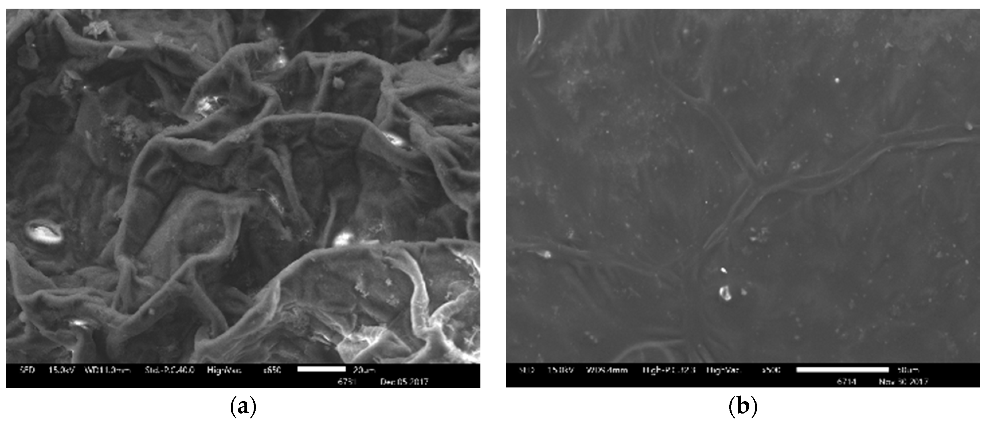 Sustainability 10 02431 g007 Sustainability 10 02431 g007