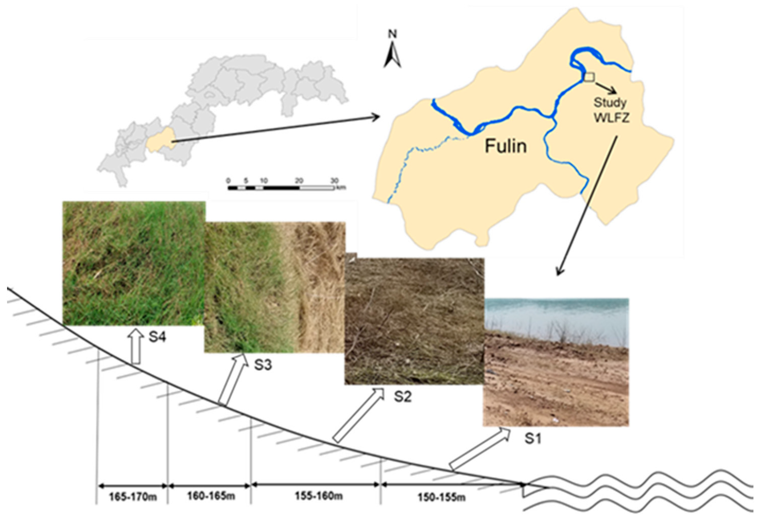 Sustainability 10 02531 g001