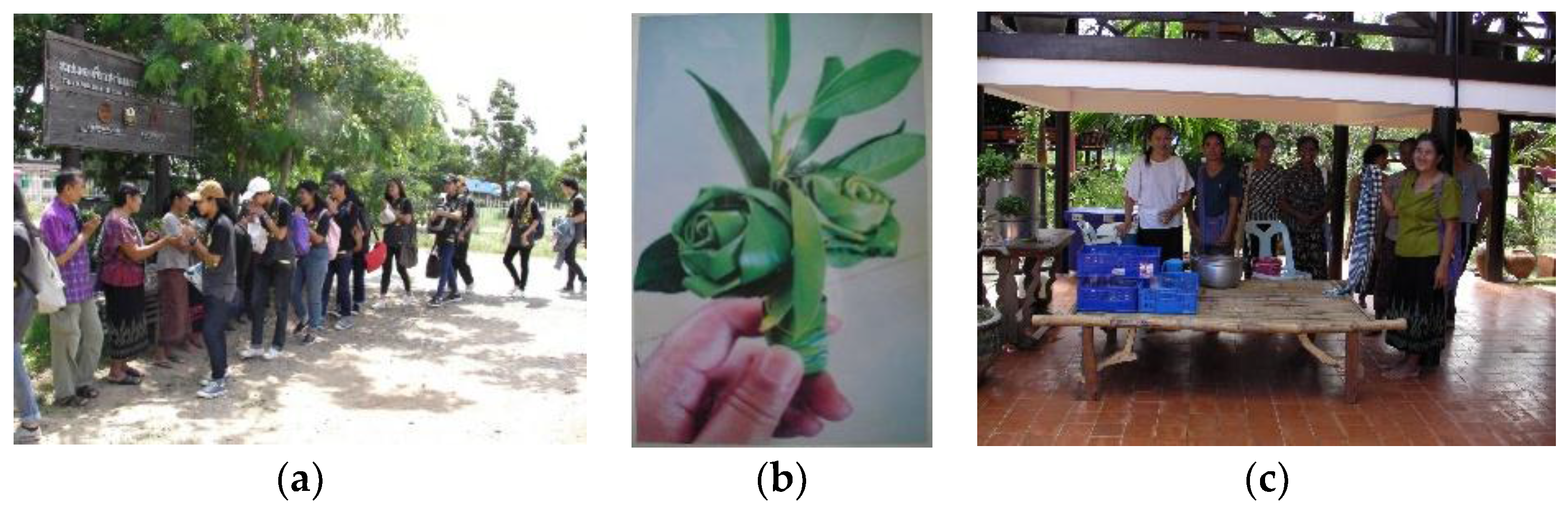 Sustainability 10 02563 g020 Sustainability 10 02563 g020