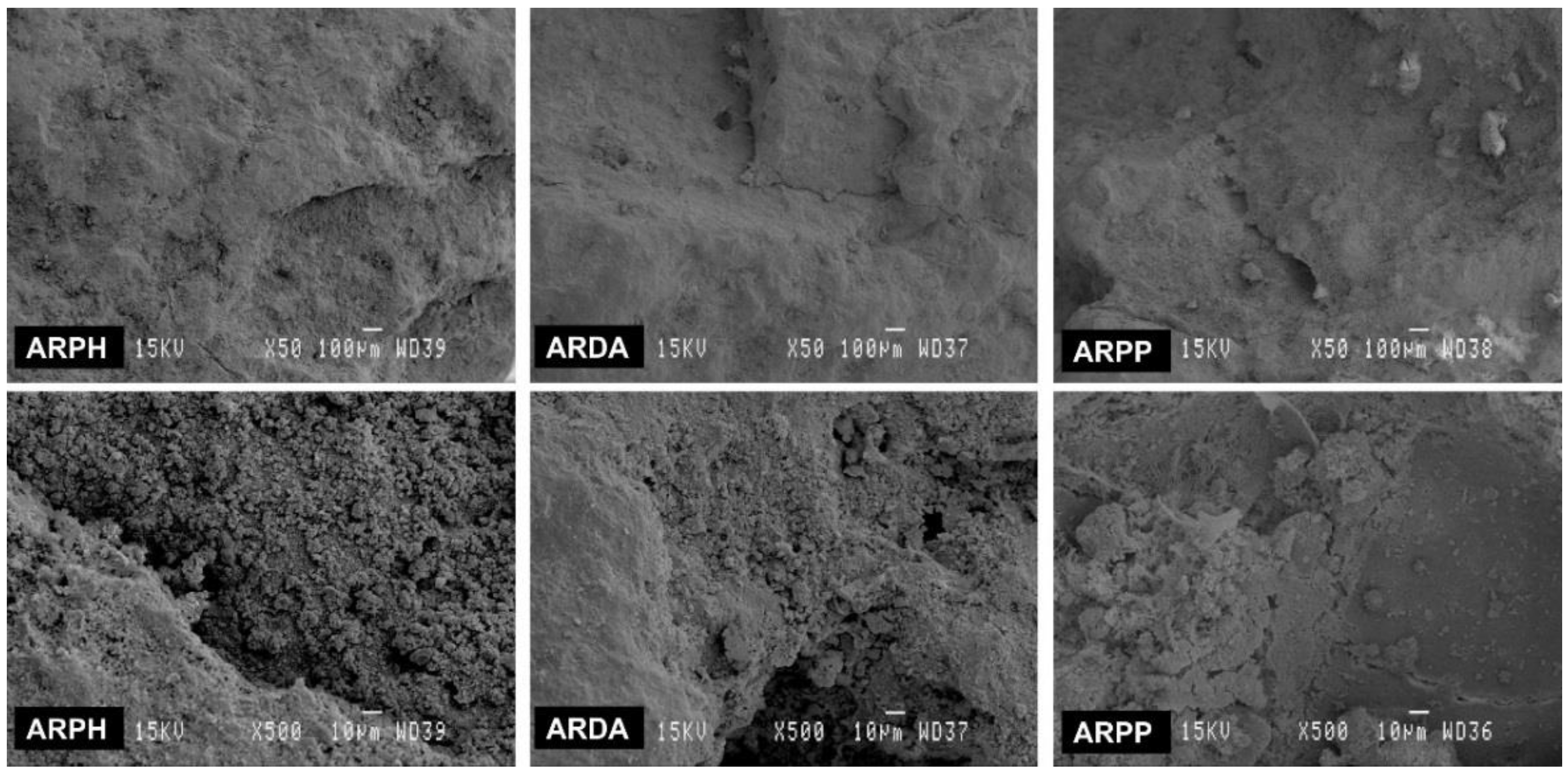 Sustainability 10 02590 g002