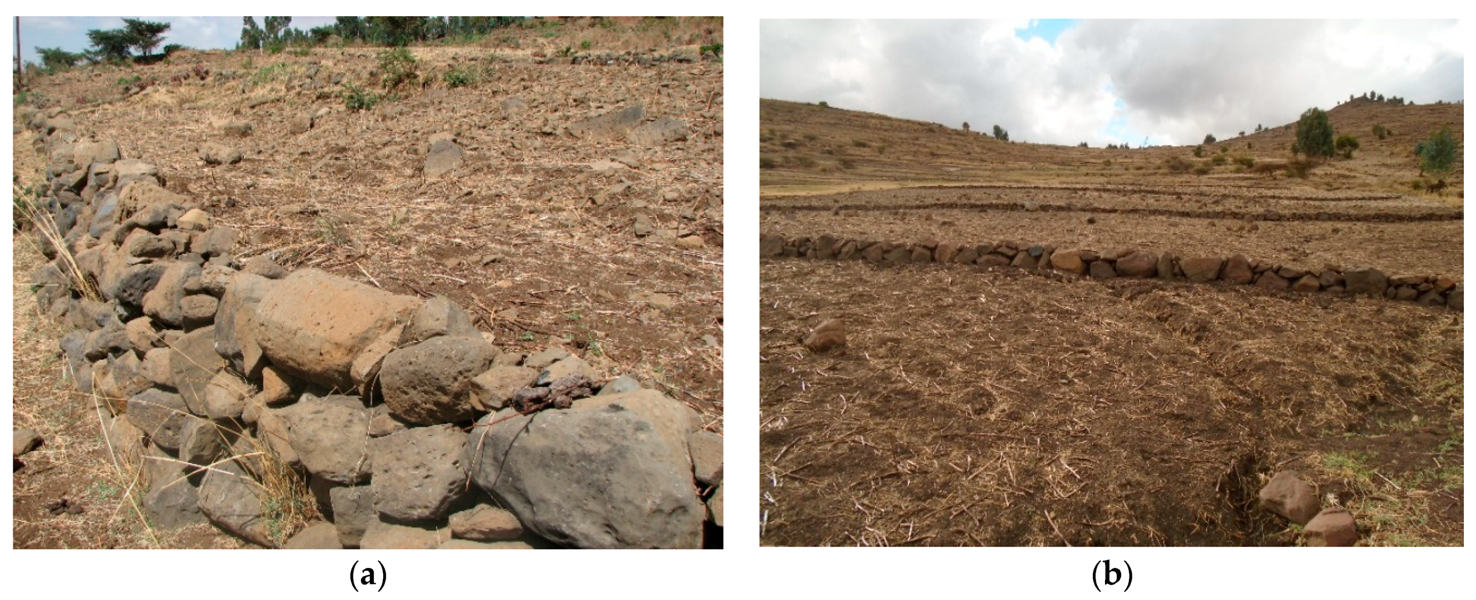 Sustainability 10 02666 g001