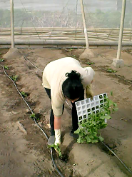 Sustainability 10 02729 i002 Sustainability 10 02729 i002