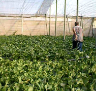 Sustainability 10 02729 i005 Sustainability 10 02729 i005