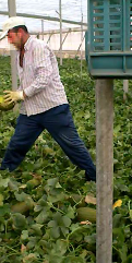 Sustainability 10 02729 i008 Sustainability 10 02729 i008