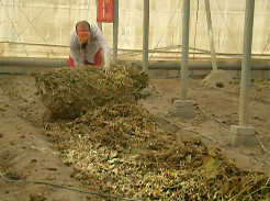 Sustainability 10 02729 i010 Sustainability 10 02729 i010