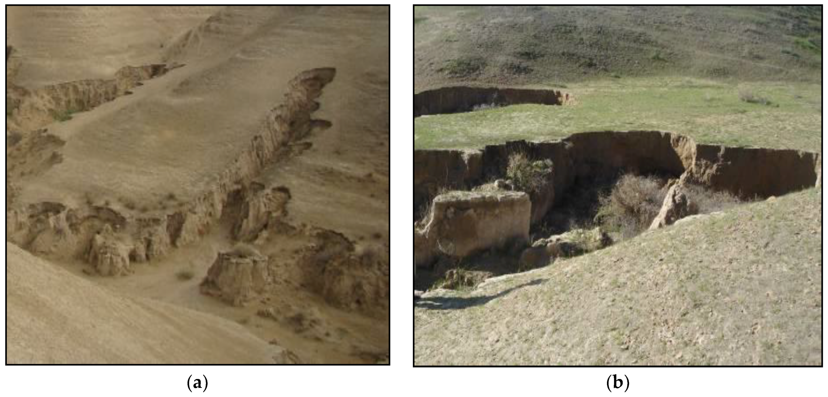 Sustainability 10 02909 g002