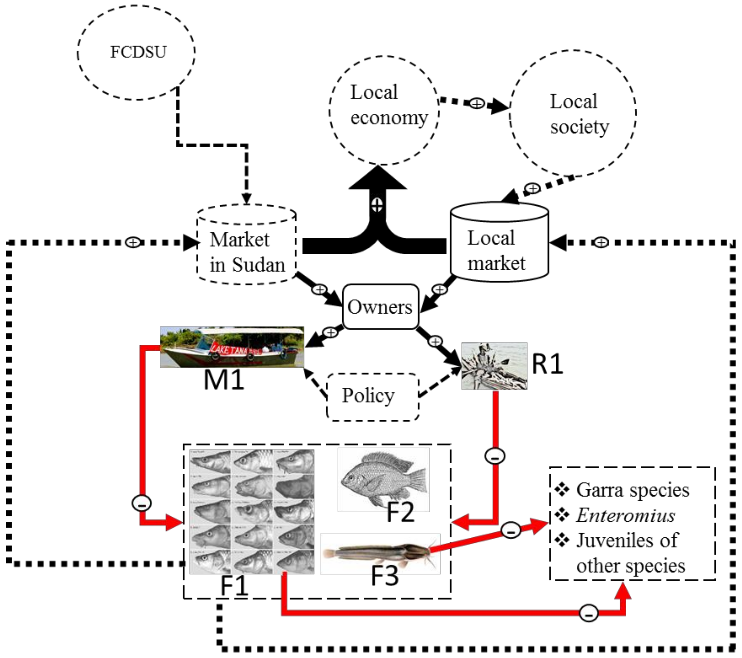 Sustainability 10 02957 g002