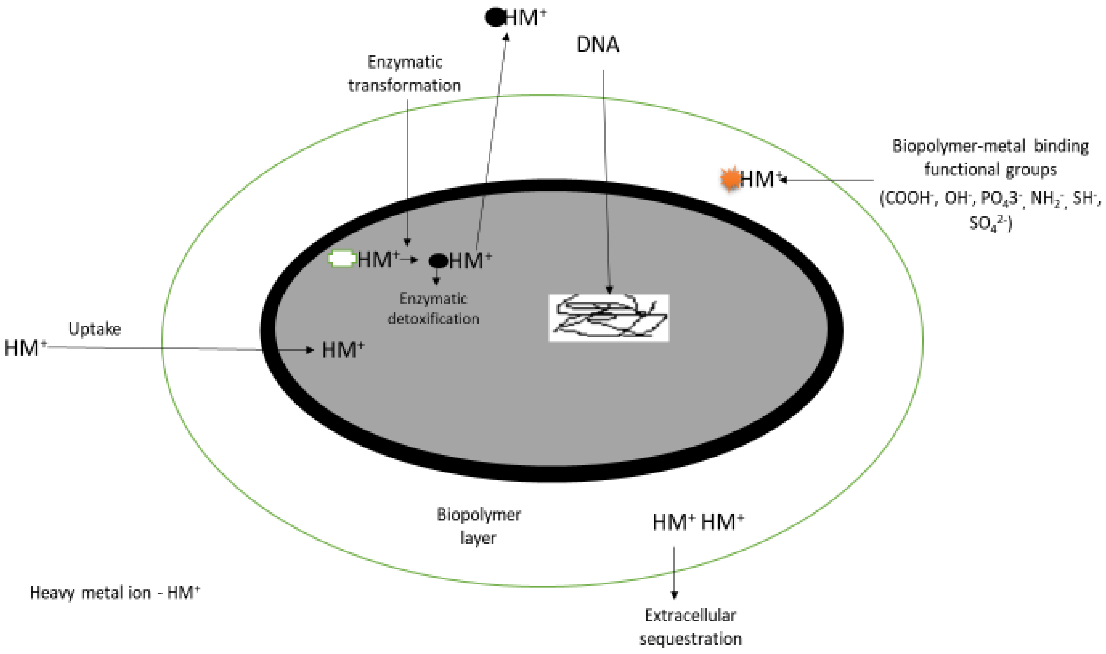 Sustainability 10 03028 g001 Sustainability 10 03028 g001