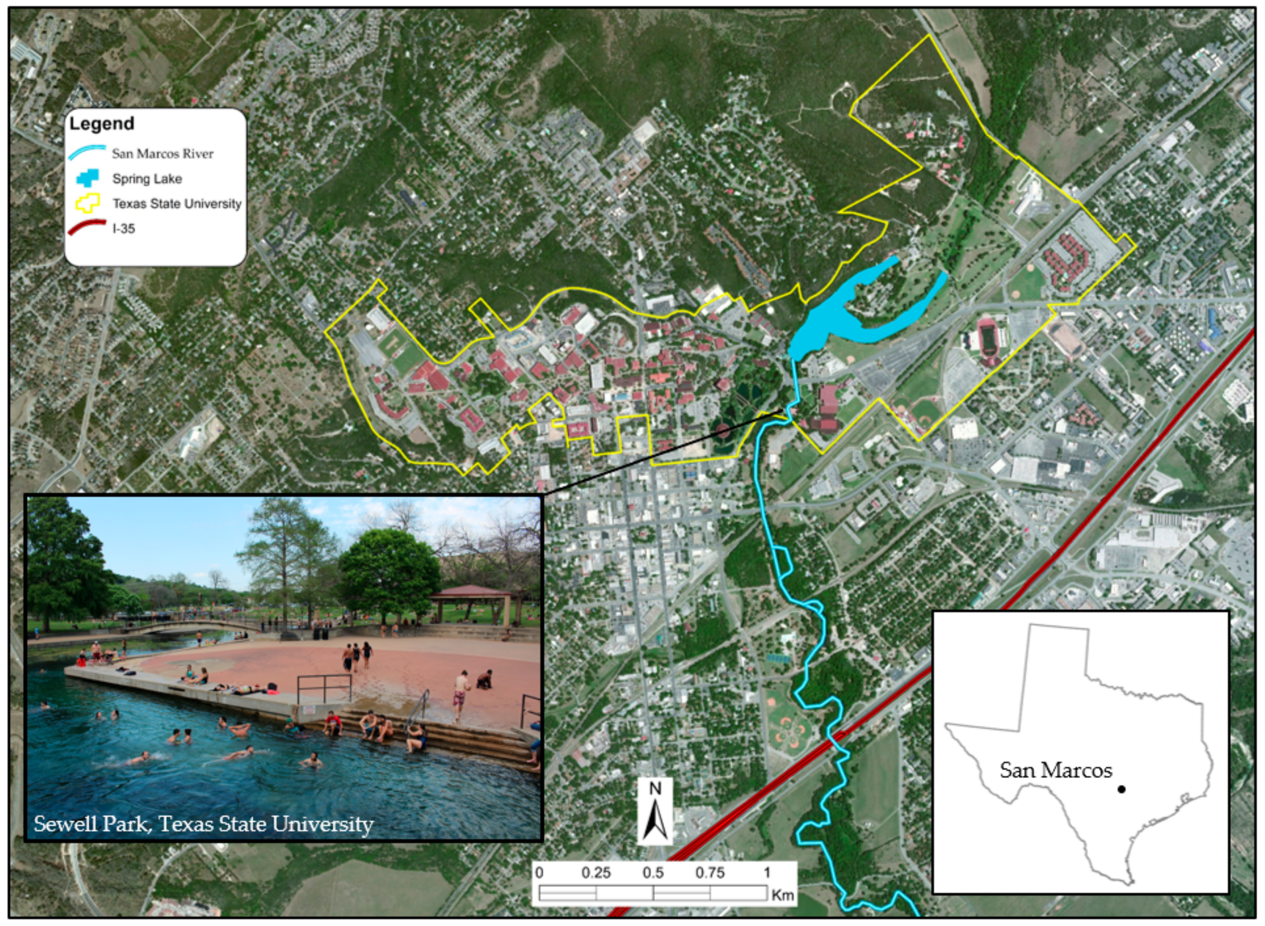 Sustainability 10 03178 g001