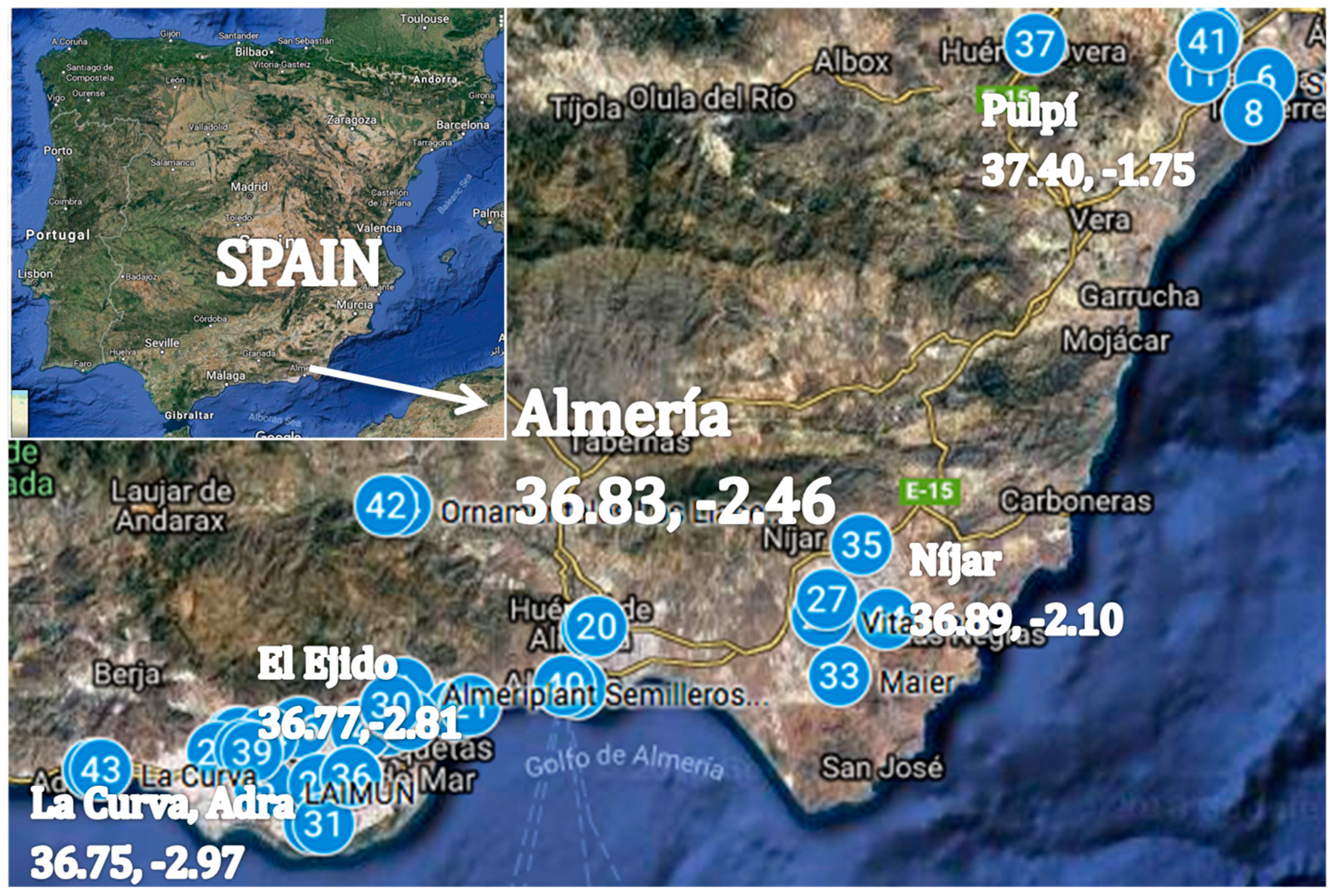 Sustainability 10 03351 g001
