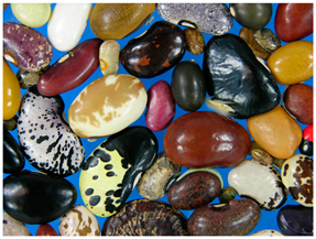 Sustainability 10 03997 i002