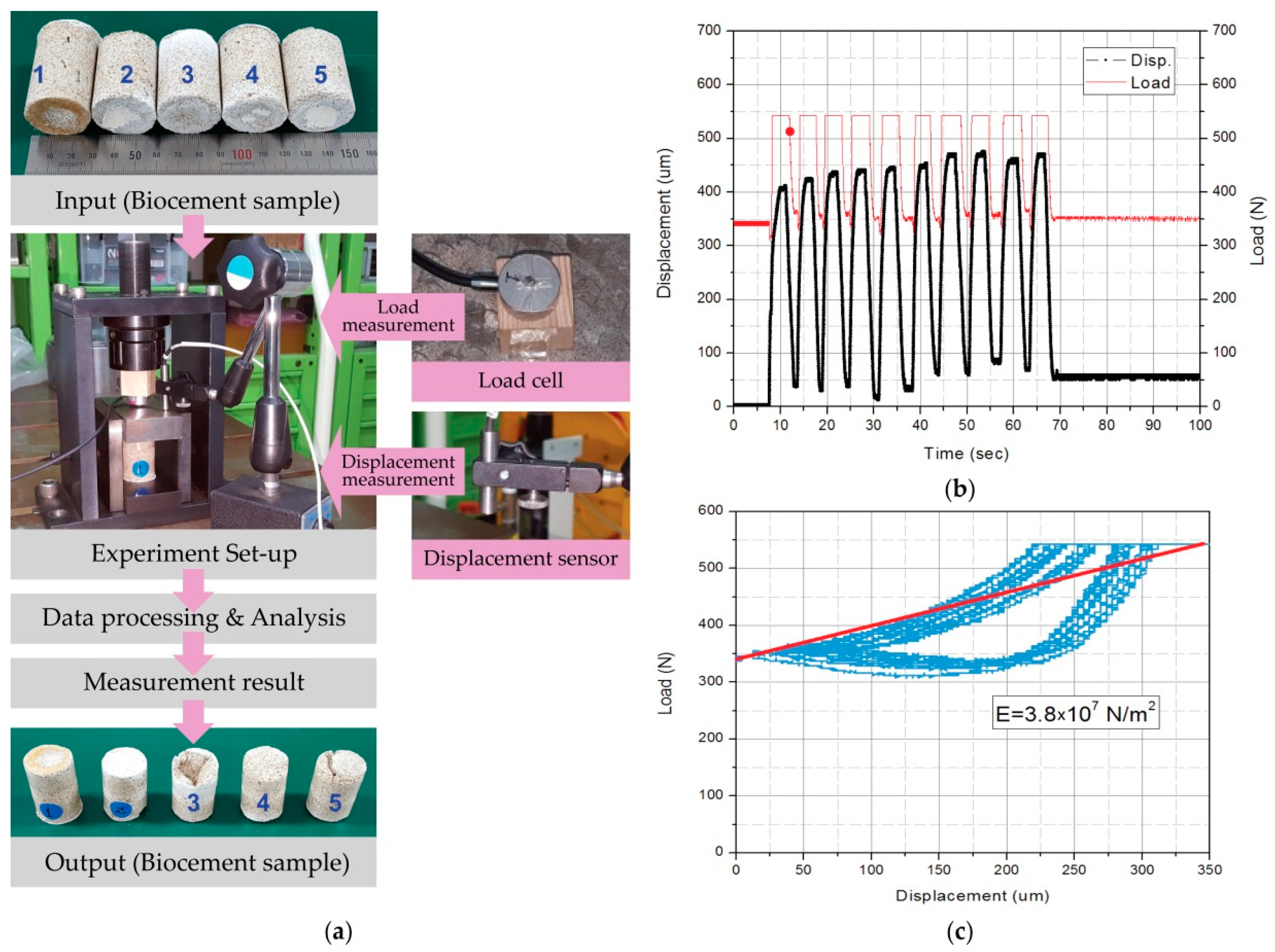 Sustainability 10 04079 g006