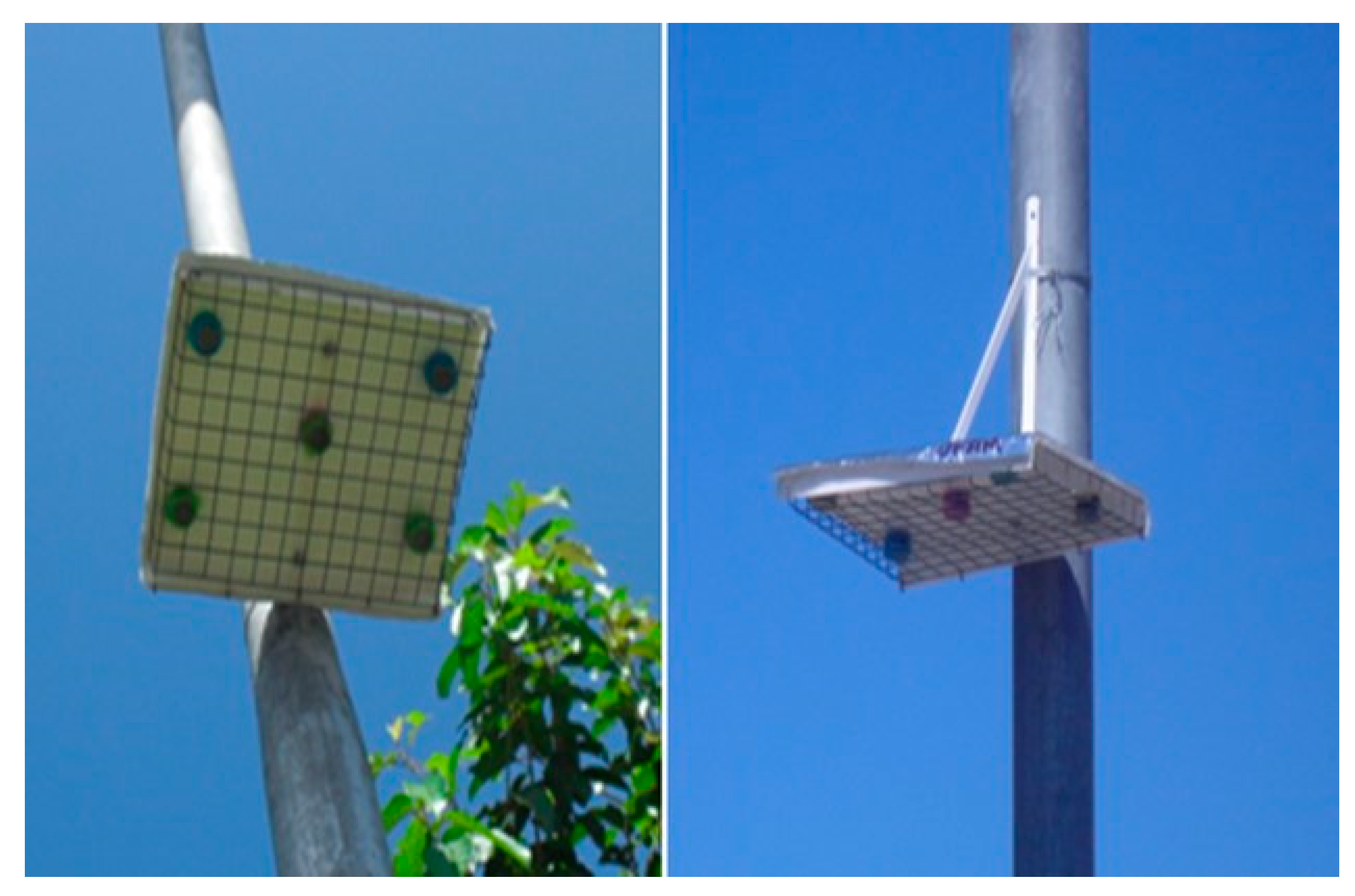 Sustainability 10 04091 g006