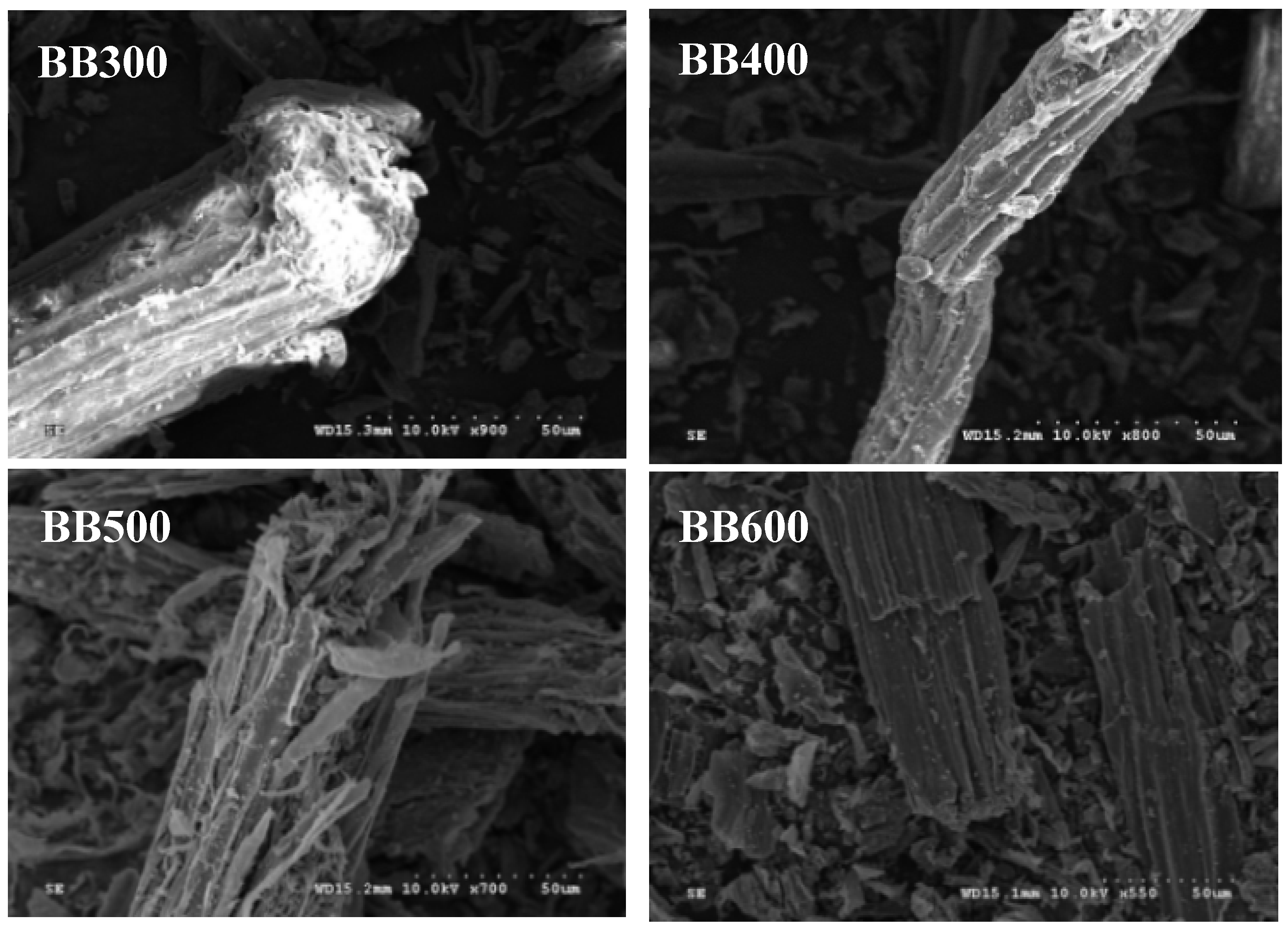 Sustainability 10 04250 g003 Sustainability 10 04250 g003