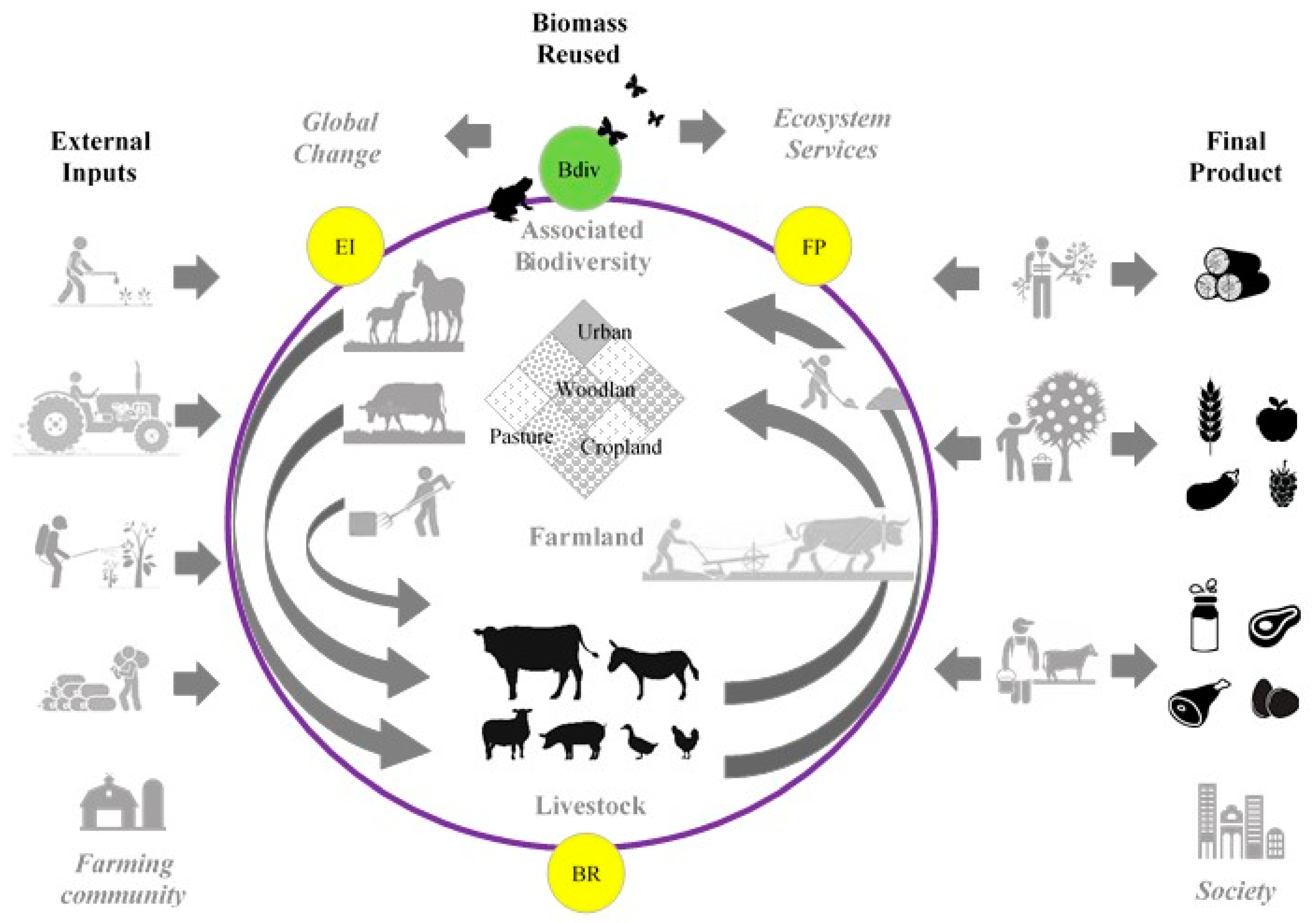 Sustainability 10 04722 g002