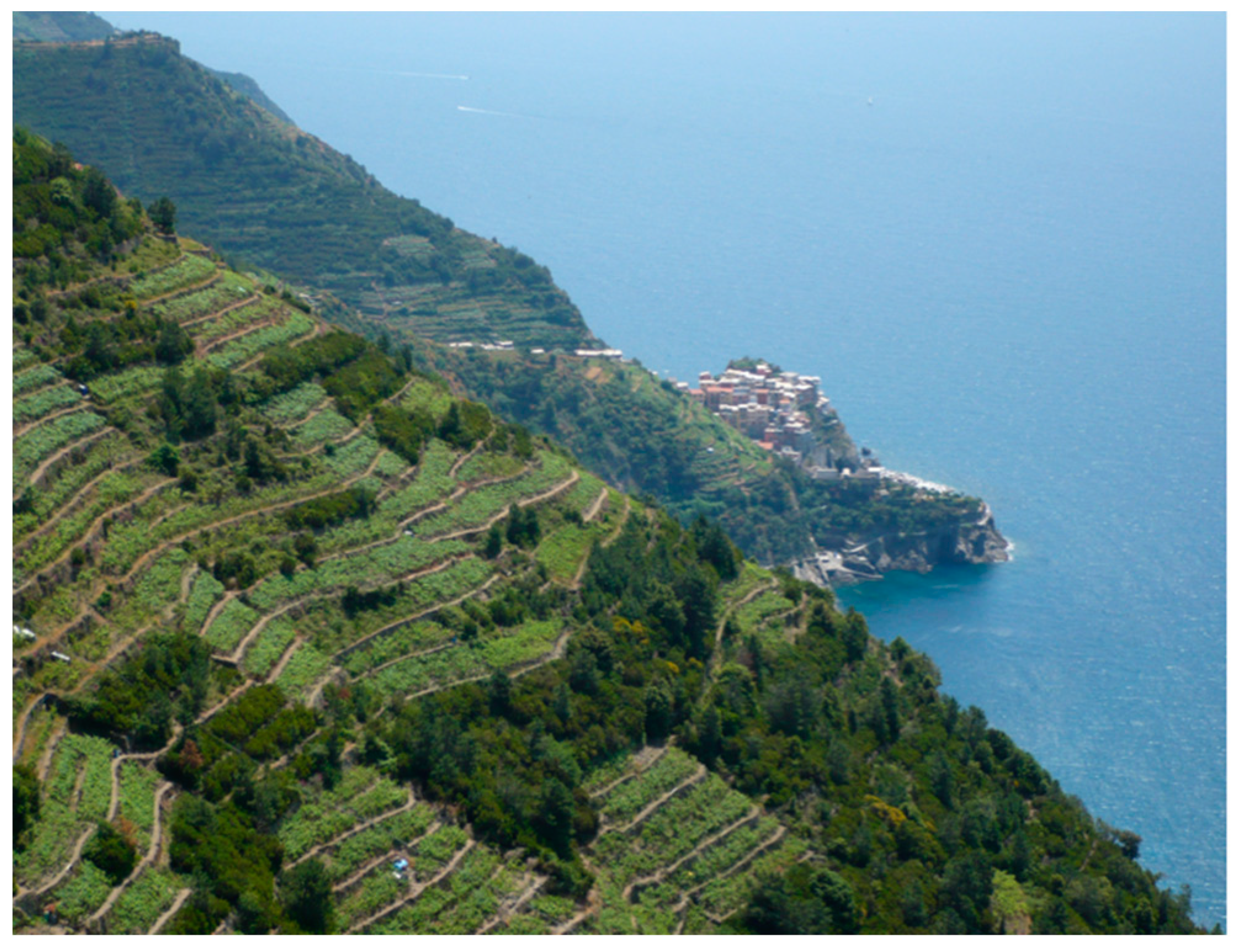 Sustainability 11 00235 g003 Sustainability 11 00235 g003