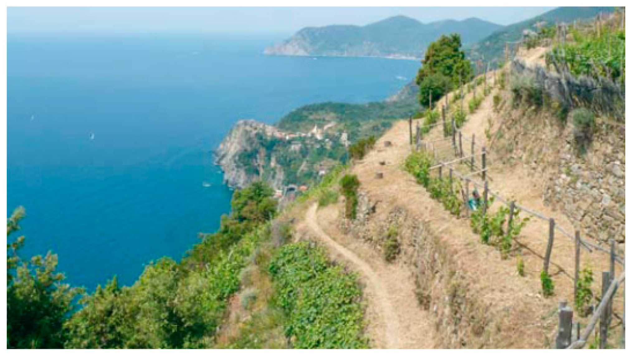 Sustainability 11 00235 g004 Sustainability 11 00235 g004