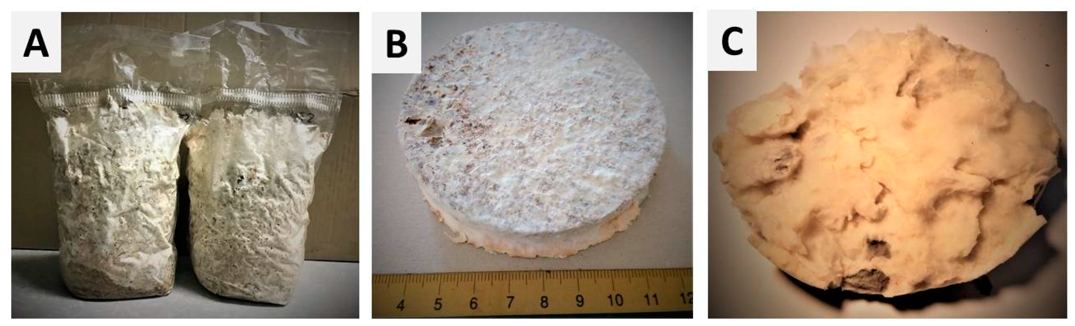 Sustainability 11 00281 g001