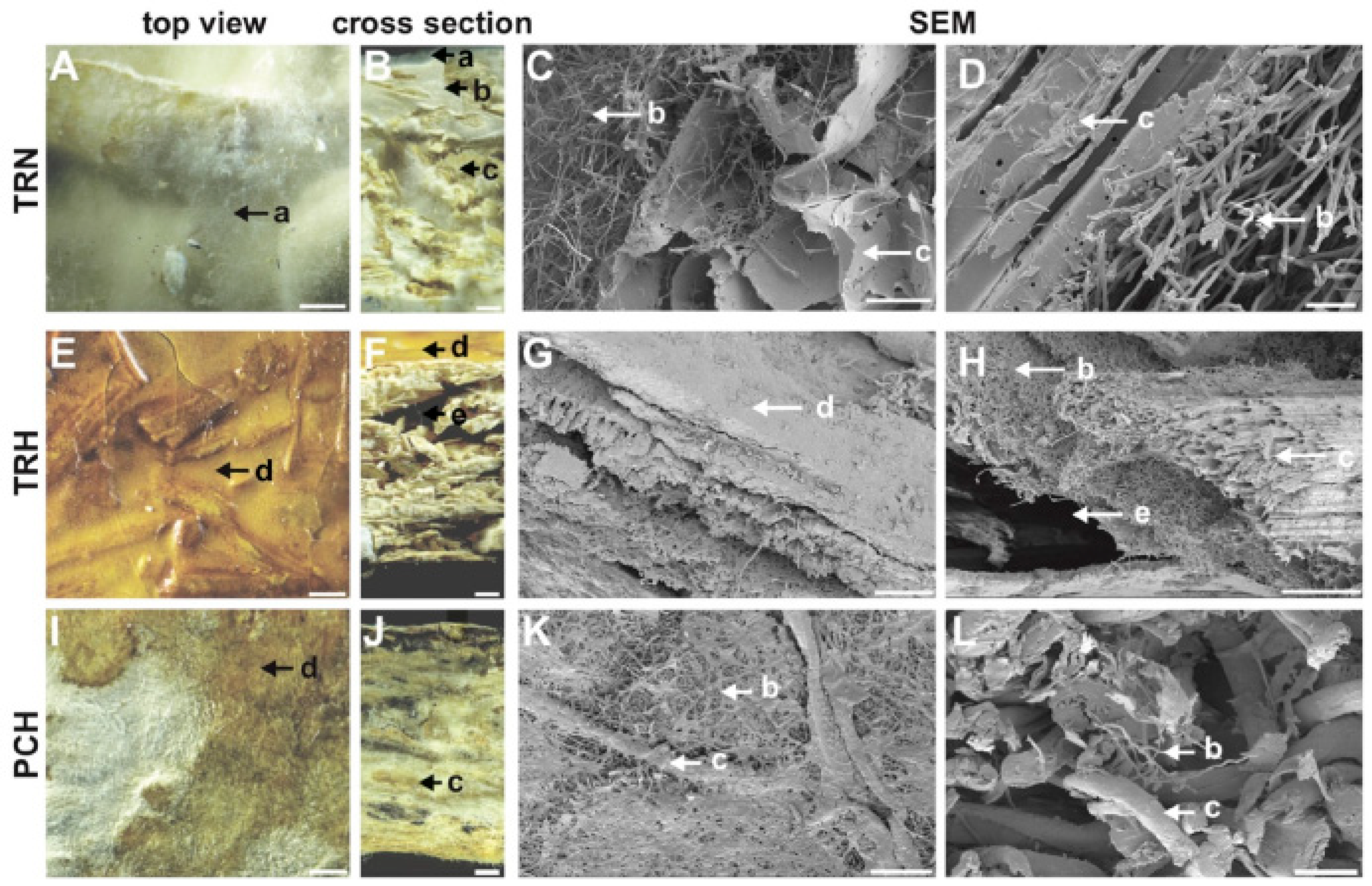 Sustainability 11 00281 g002