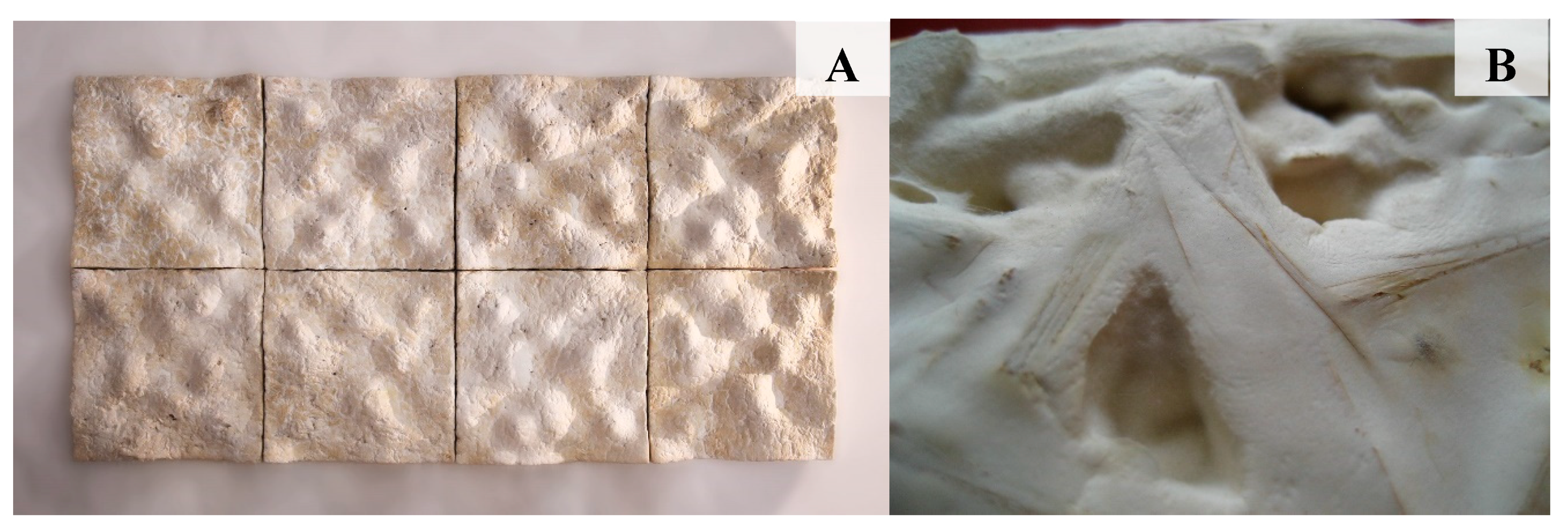 Sustainability 11 00281 g007