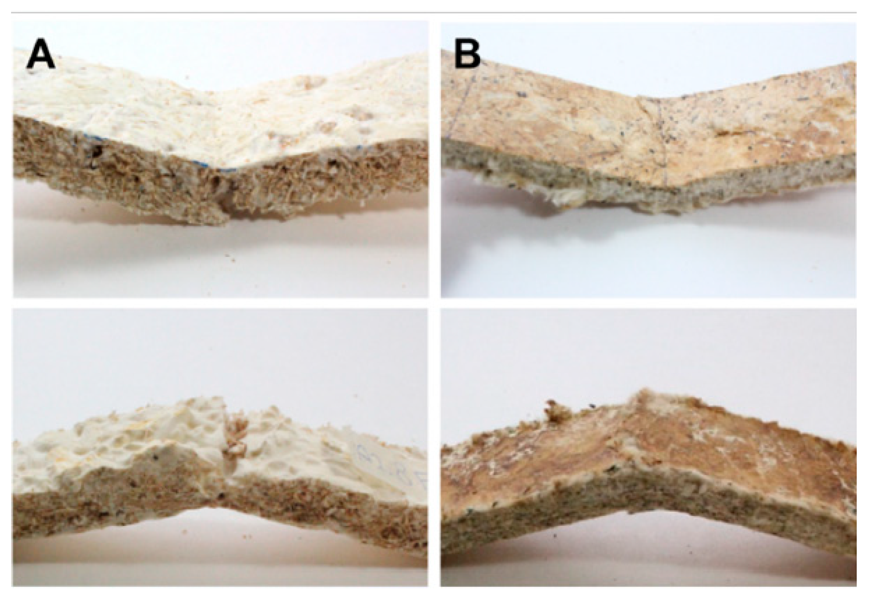 Sustainability 11 00281 g008