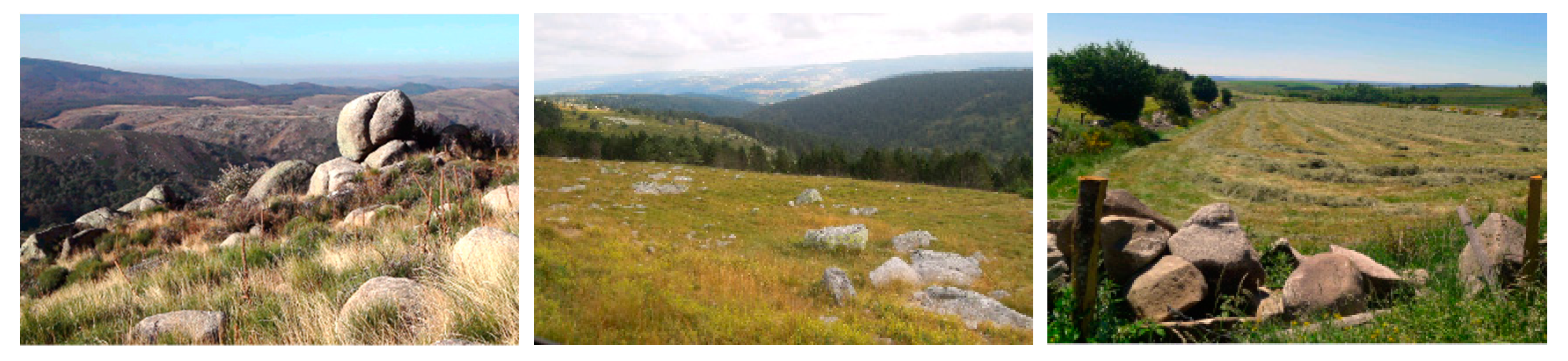 Sustainability 11 00310 g002