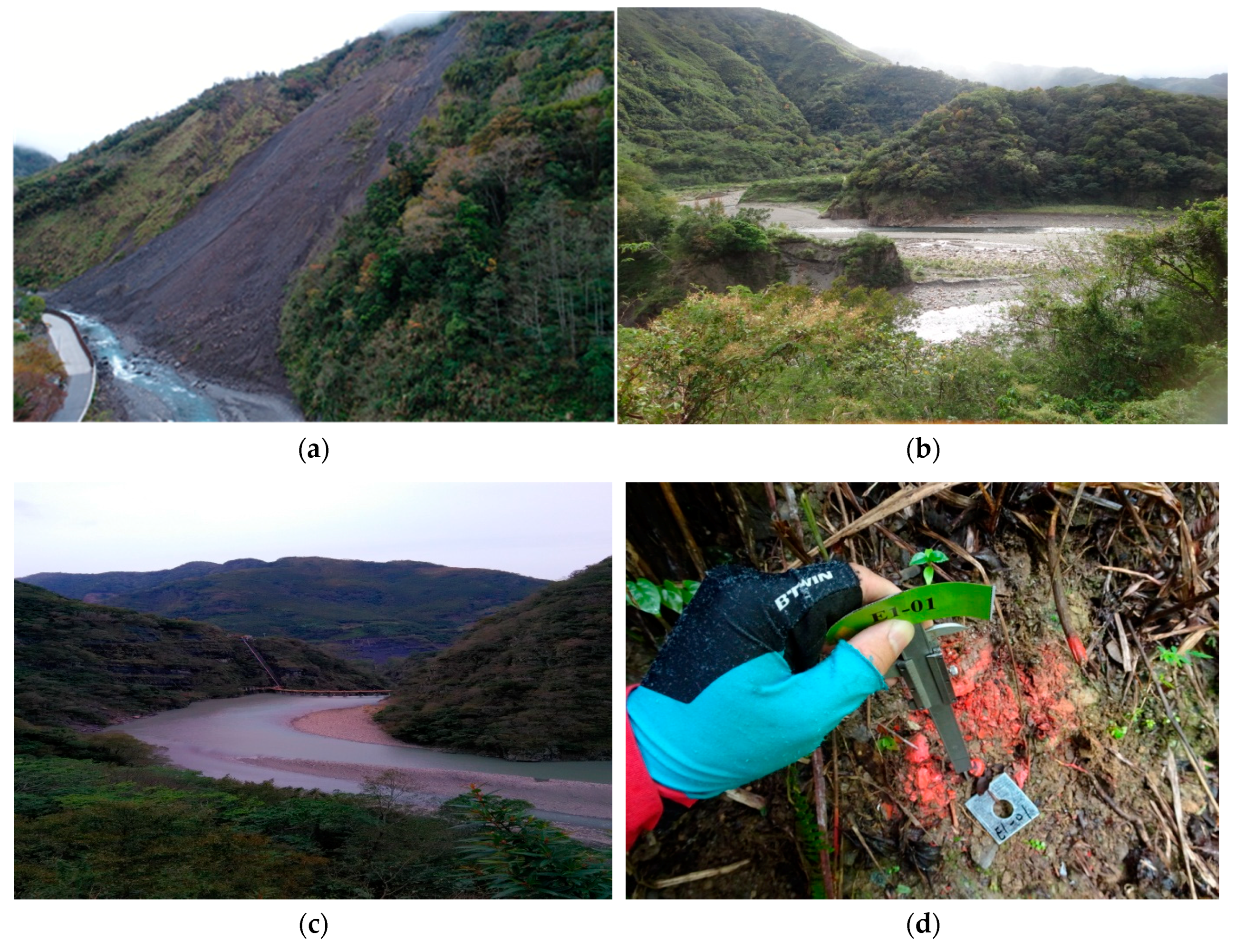 Sustainability 11 00355 g004