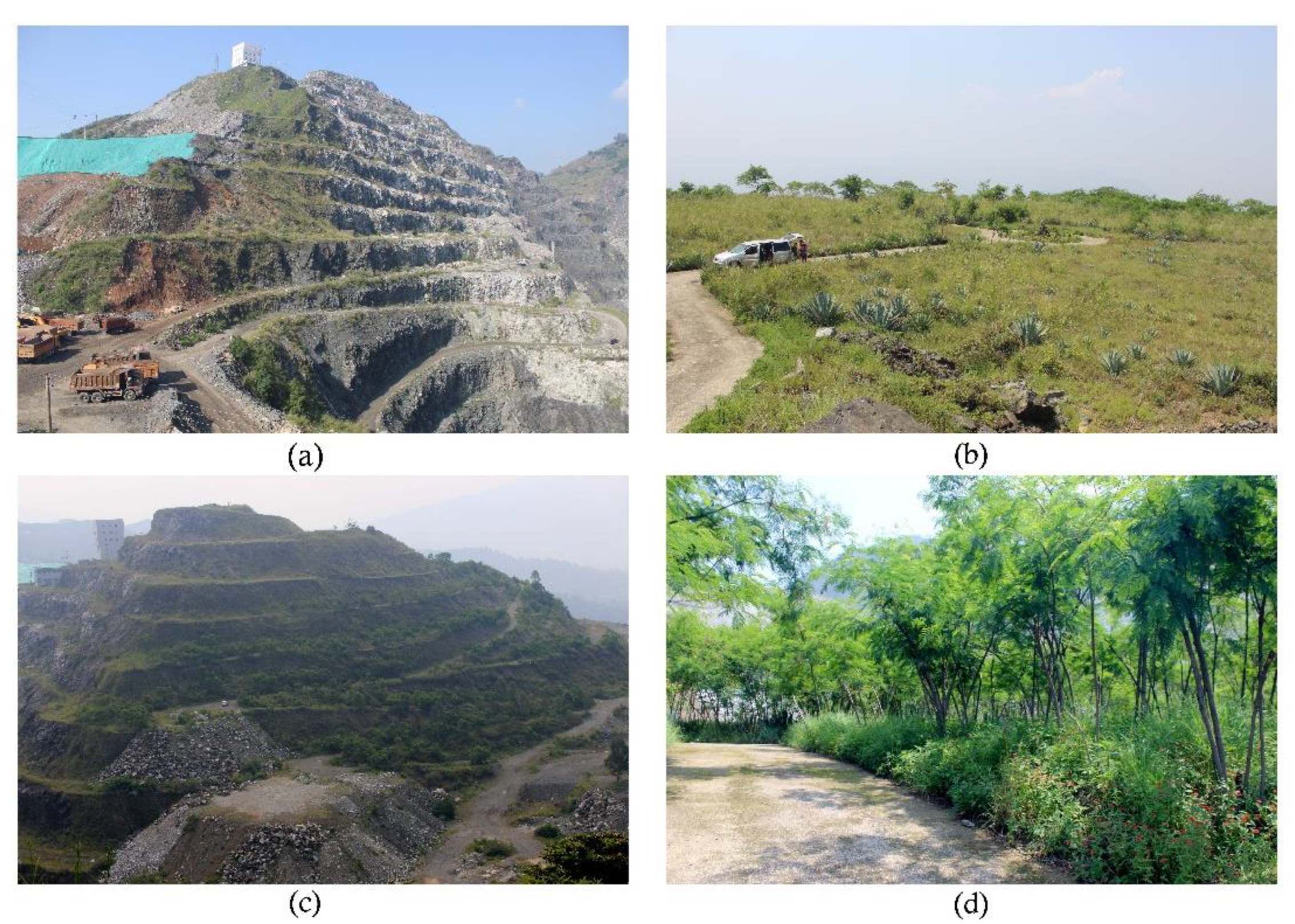 Sustainability 11 00397 g001 Sustainability 11 00397 g001