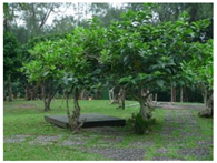 Sustainability 11 00403 i004