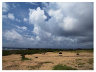 Sustainability 11 00403 i005