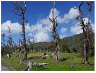 Sustainability 11 00403 i006