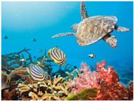 Sustainability 11 00403 i007