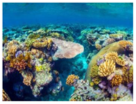 Sustainability 11 00403 i008