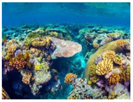 Sustainability 11 00403 i009