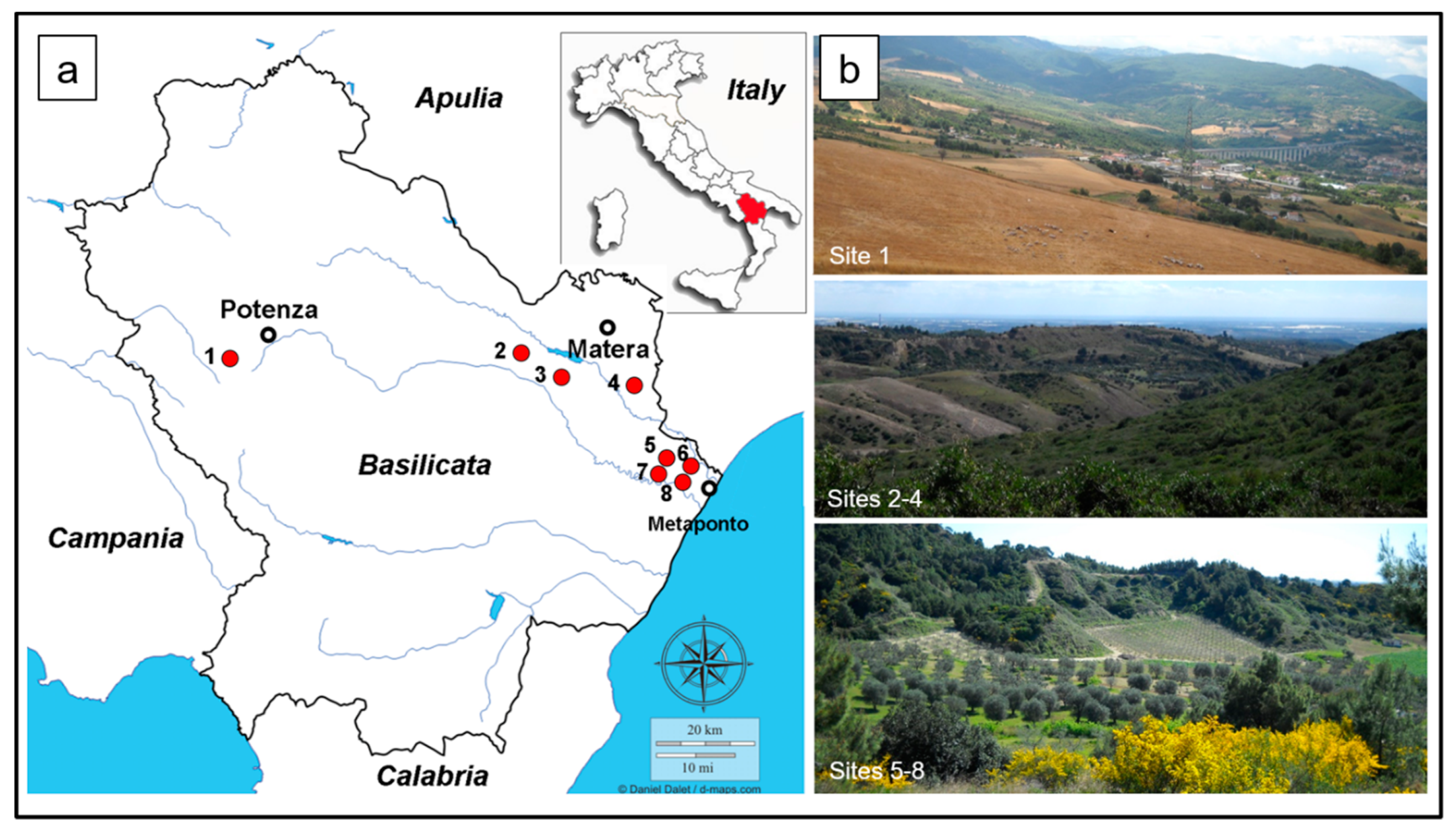 Sustainability 11 00404 g001