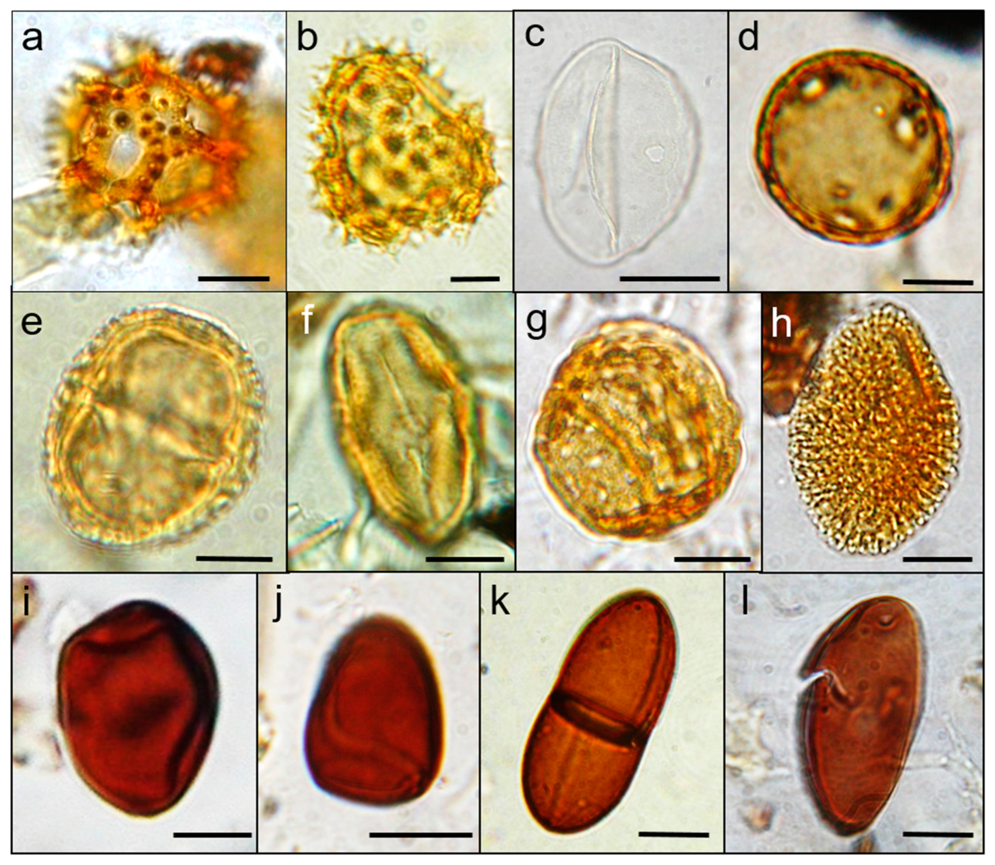 Sustainability 11 00404 g005