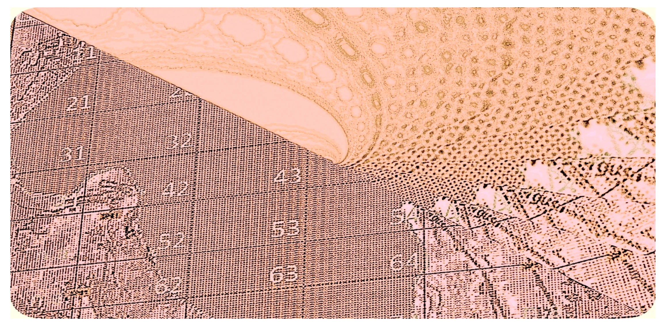 Sustainability 11 00486 g005