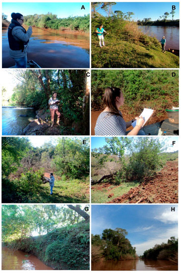 Sustainability 11 00490 g0a1