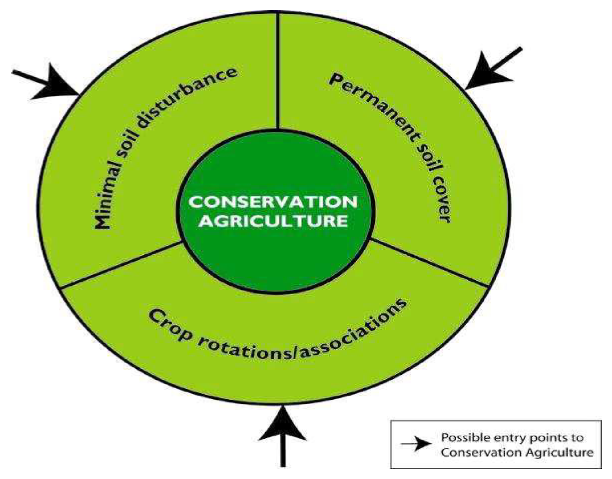 Sustainability 11 00716 g001