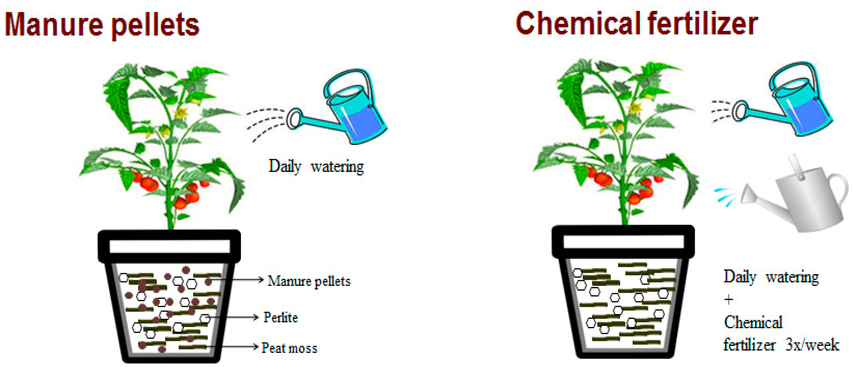 Sustainability 11 00811 g001
