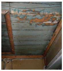 Sustainability 11 00823 i005